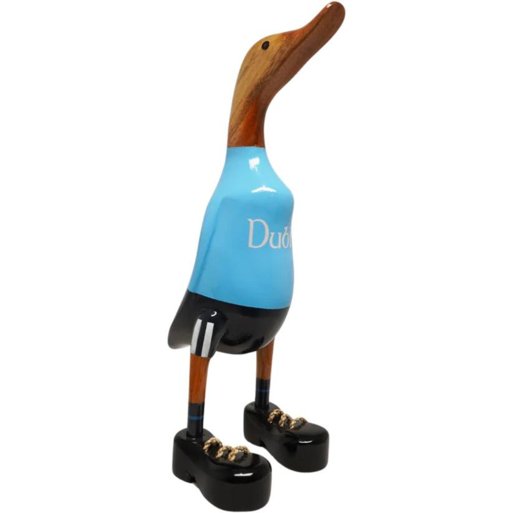 Dublin Duck