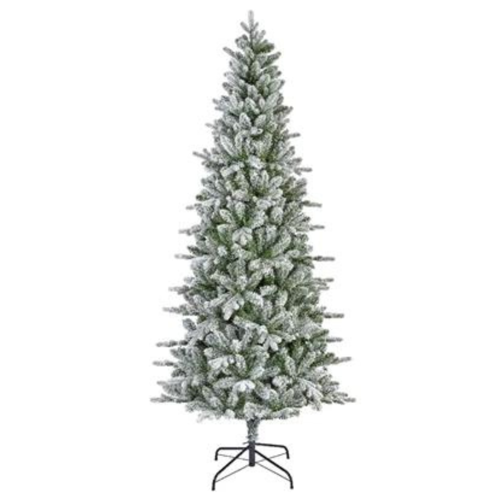 Slim Fir Frosted