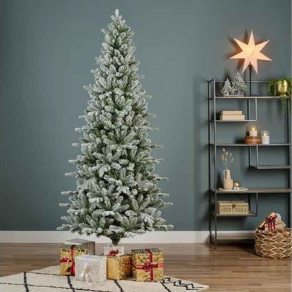 Slim Fir Frosted