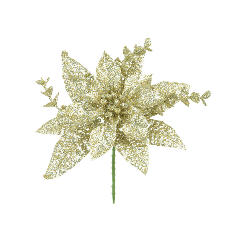 Champagne Glitter Poinsettia, 15cm