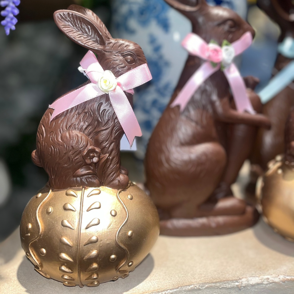 Chocolate Bunny on Gold Egg Girl