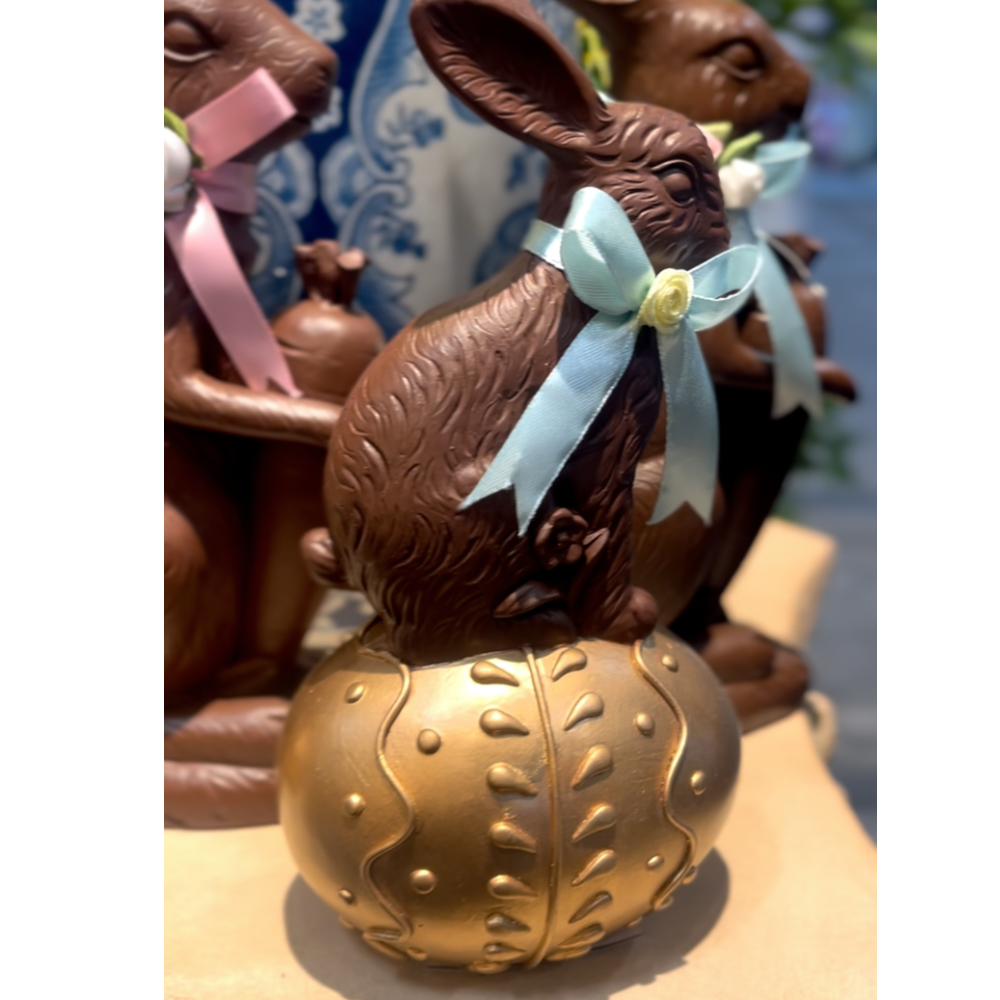 Chocolate Bunny on Gold Egg Boy