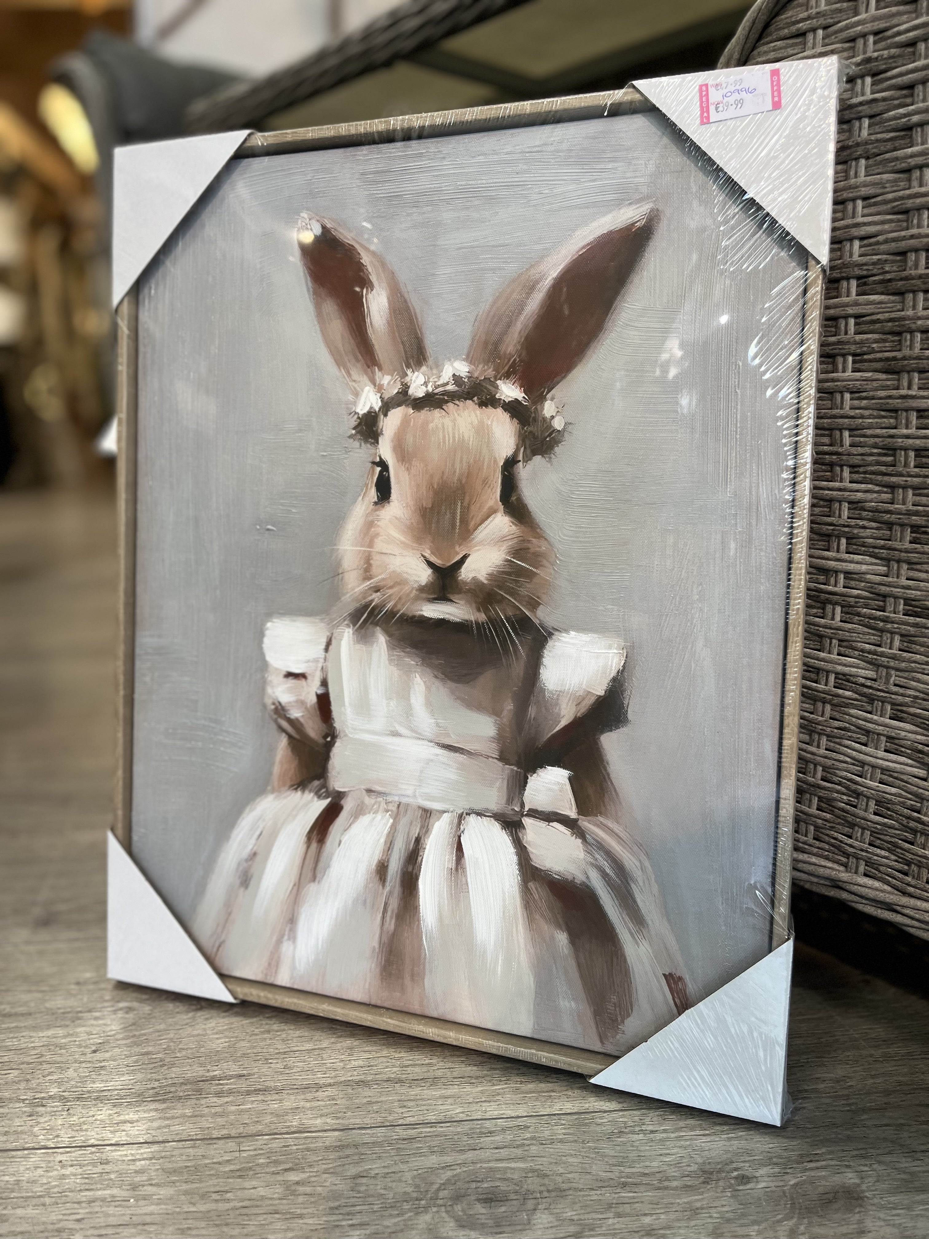 Bunny Girl Picture