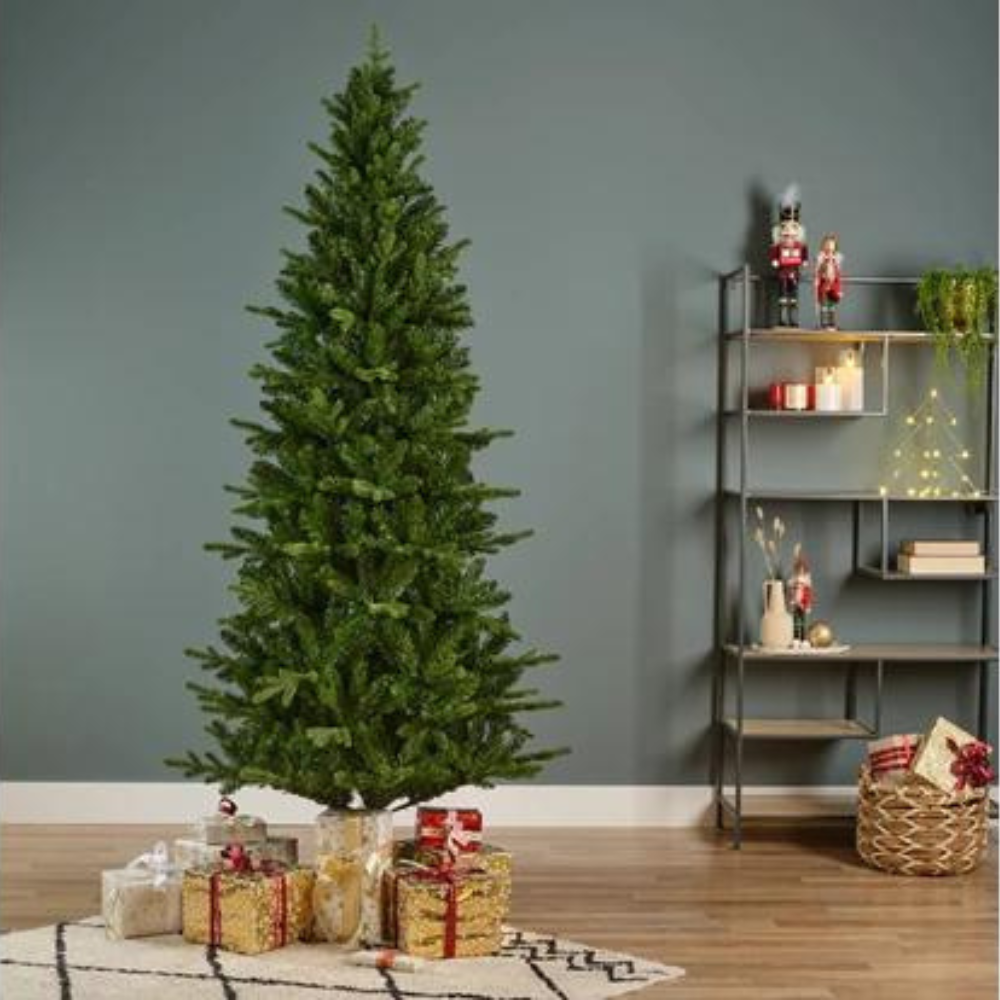 Slim  Fir tree