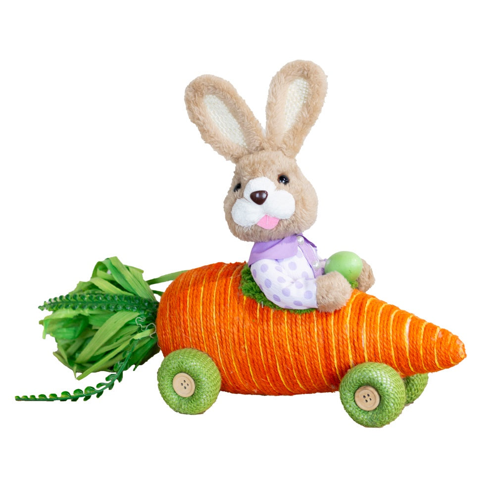 Bunny Carrot Racing Car