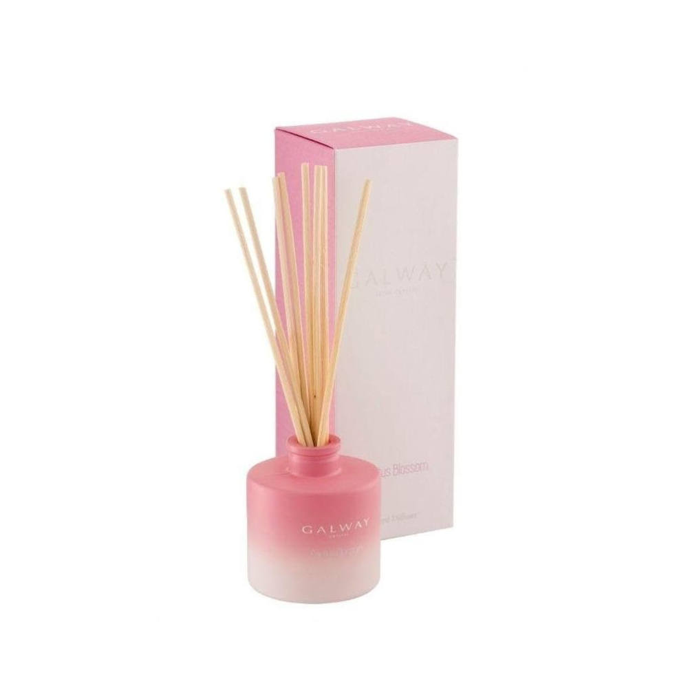 Cactus Blossom Diffuser