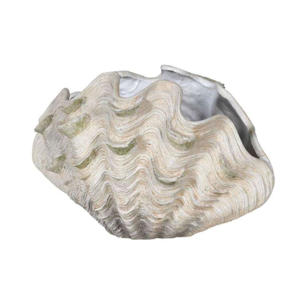 Large Closed Faux Clam Shell