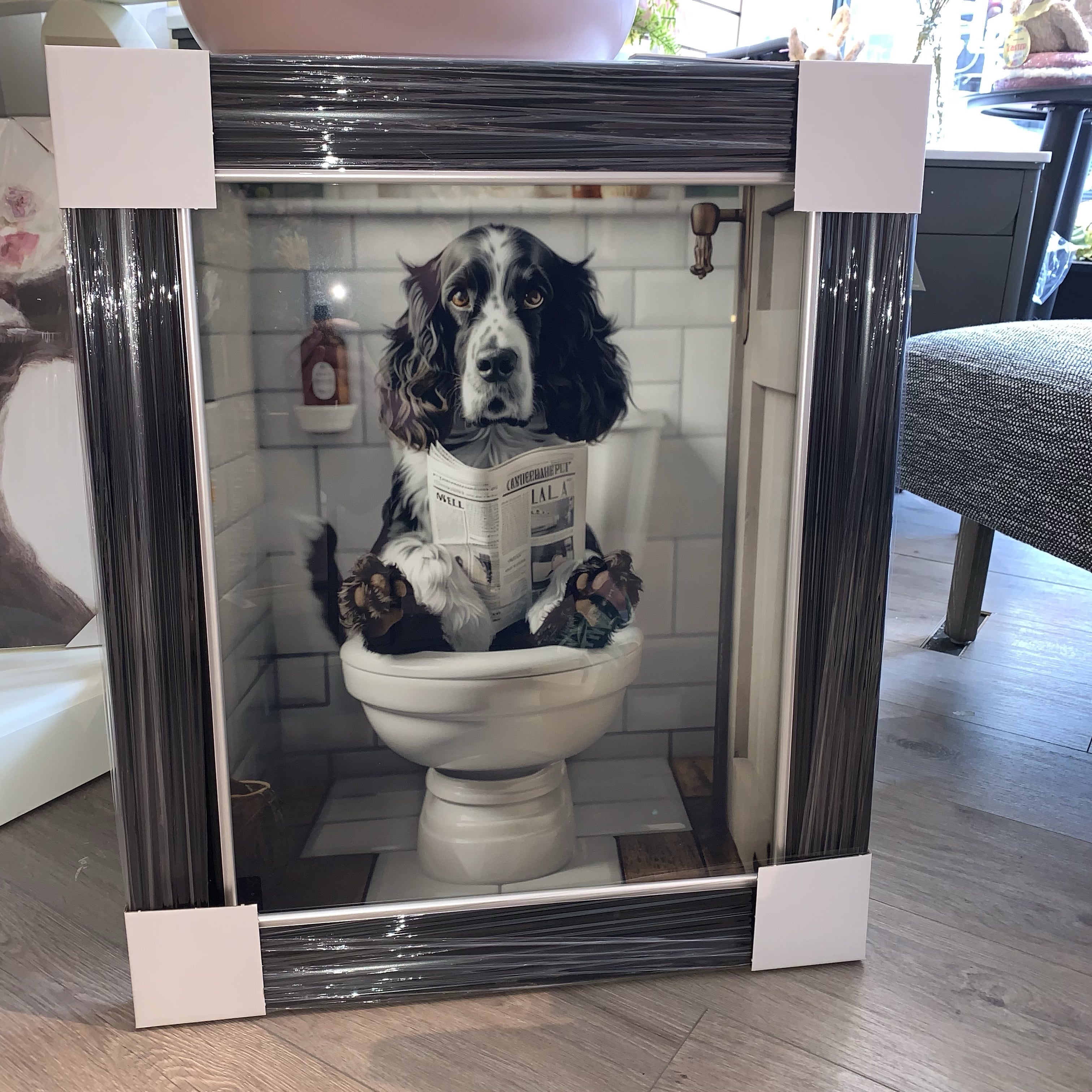 Springer on Toliet