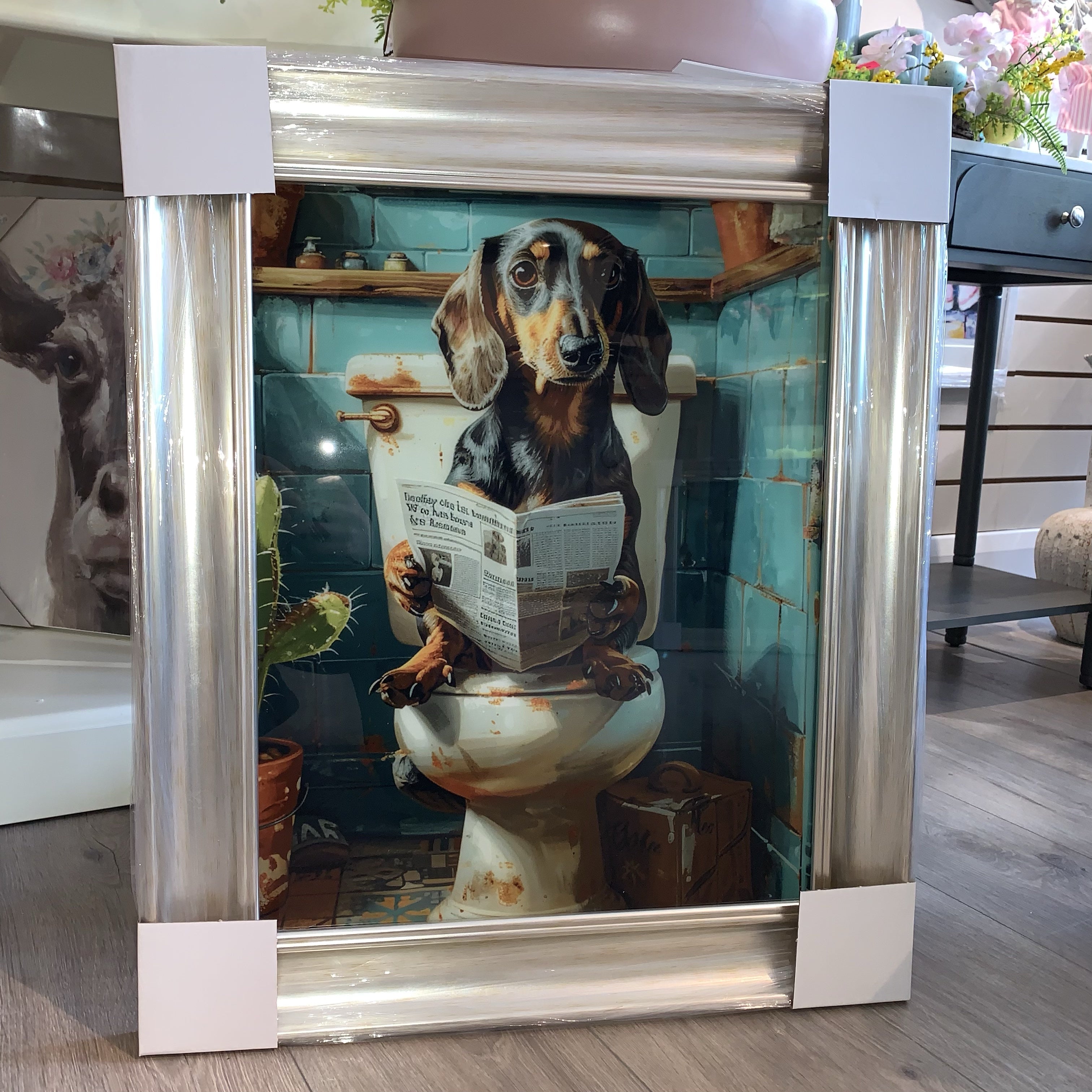 Dachshund on Toilet