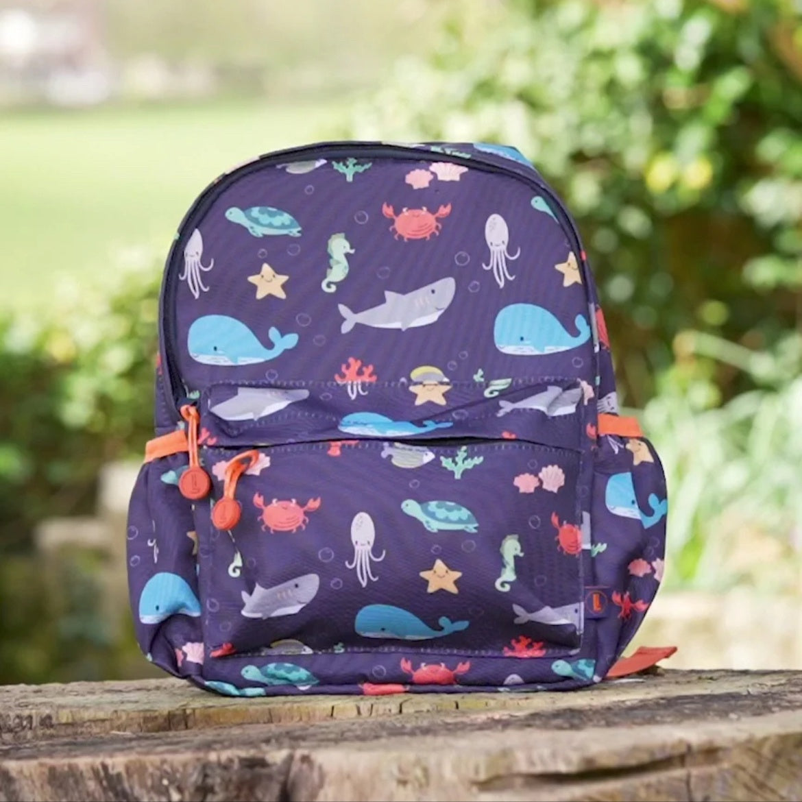 Blue Ocean Backpack