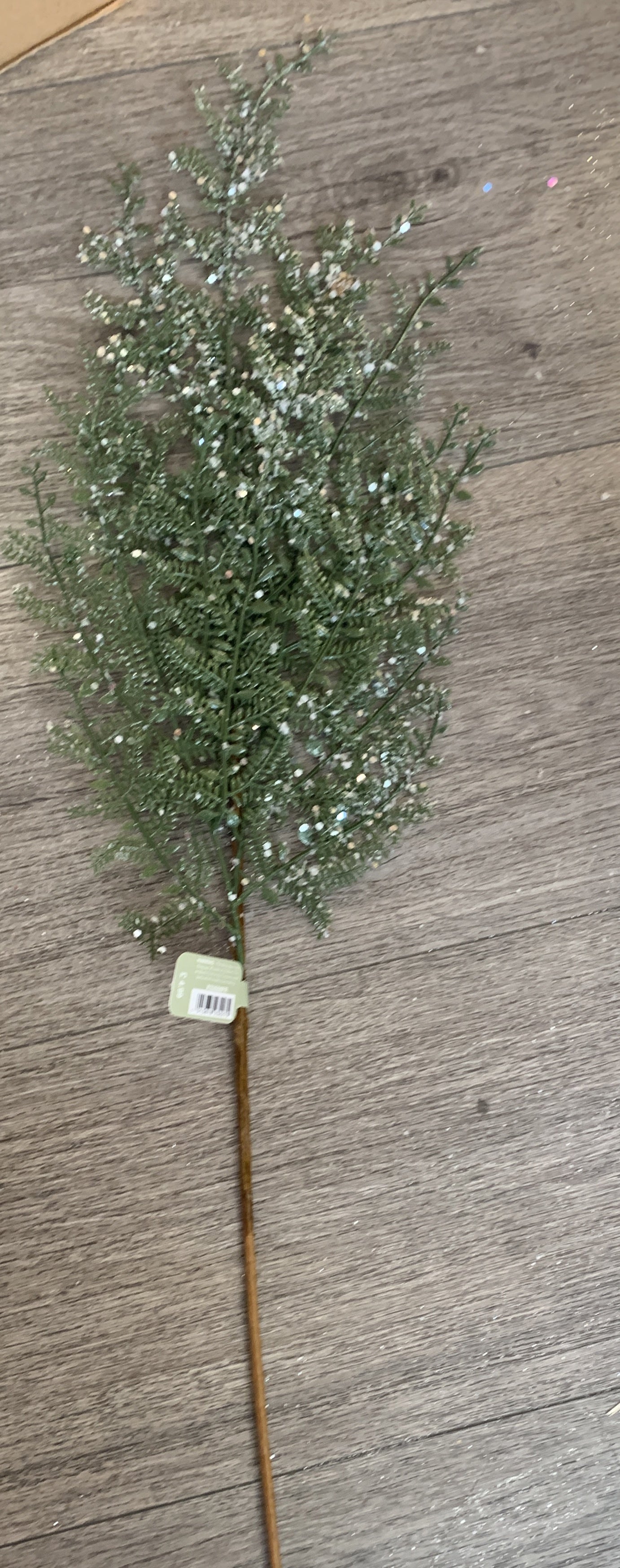 frosted fern spray