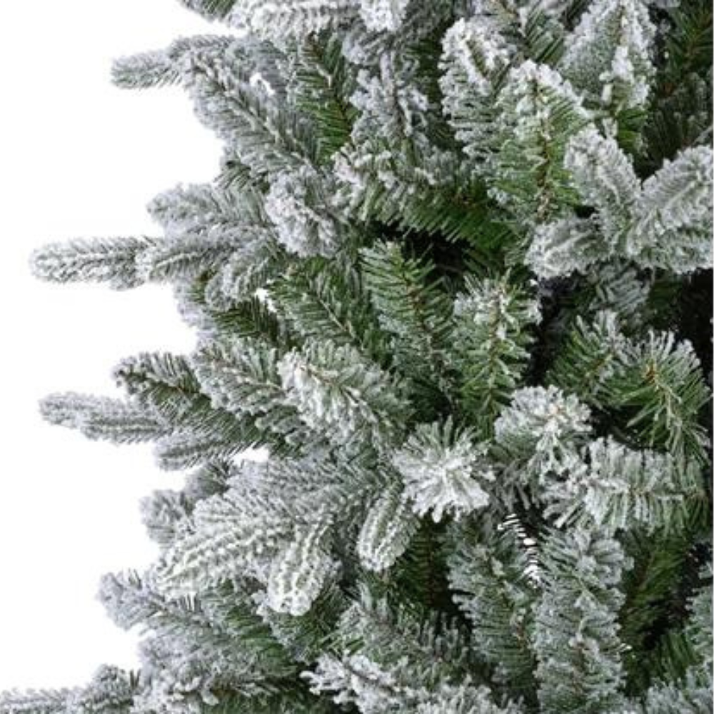 Slim Fir Frosted