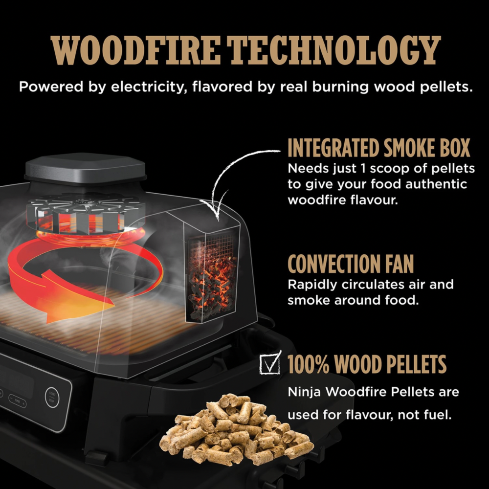 Woodfire Electric BBQ Grill & Smoker