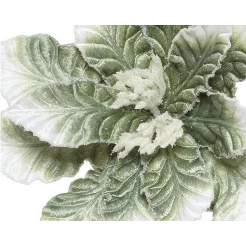 Poinsettia Clip On, Green/White