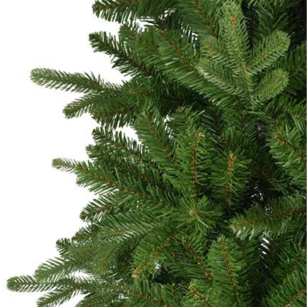 Slim  Fir tree