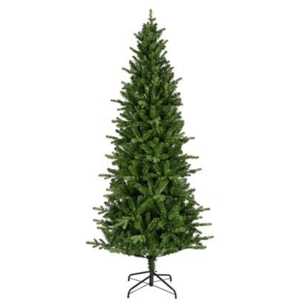 Slim  Fir tree