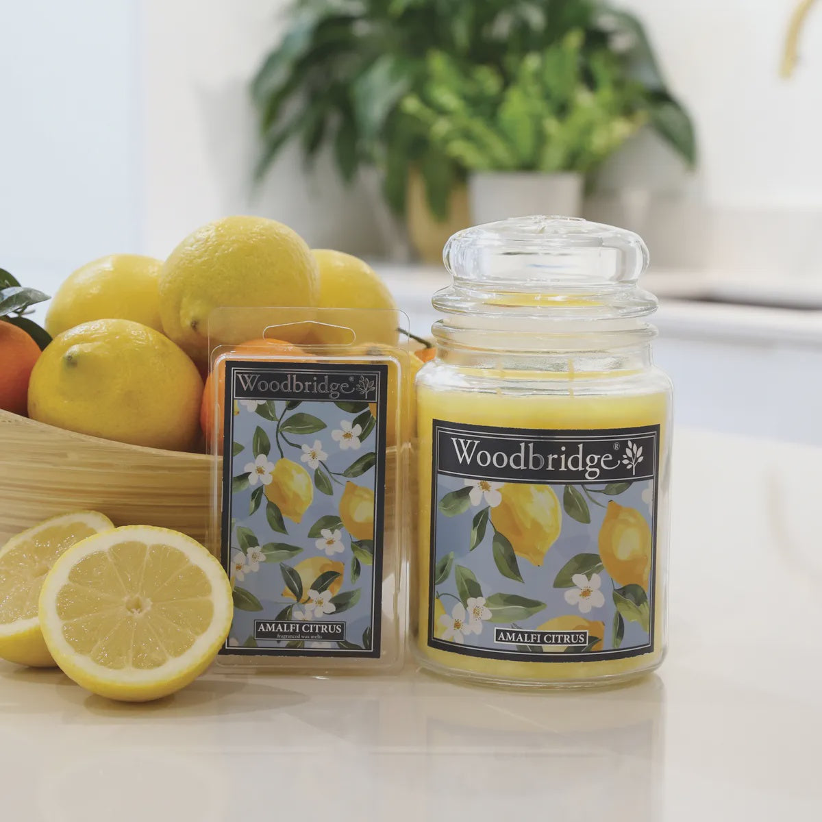 Amalfi Citrus Large Scented Candle Jar