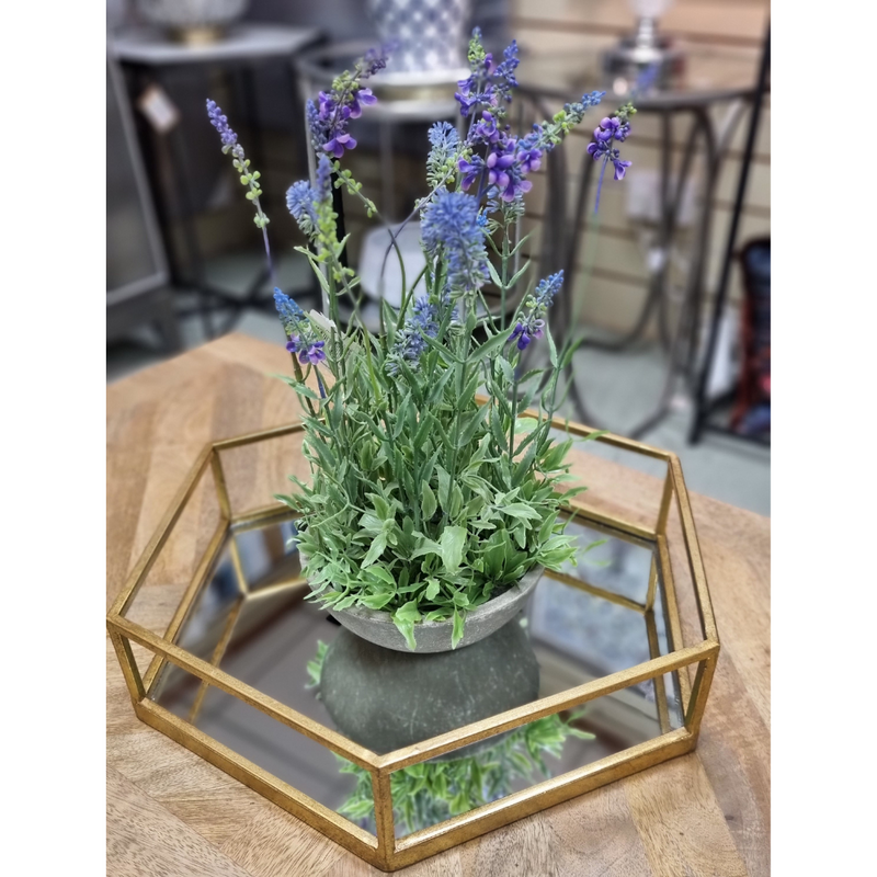 Gold Detailed Mirrored Hexagonal Trays - Small/ Large