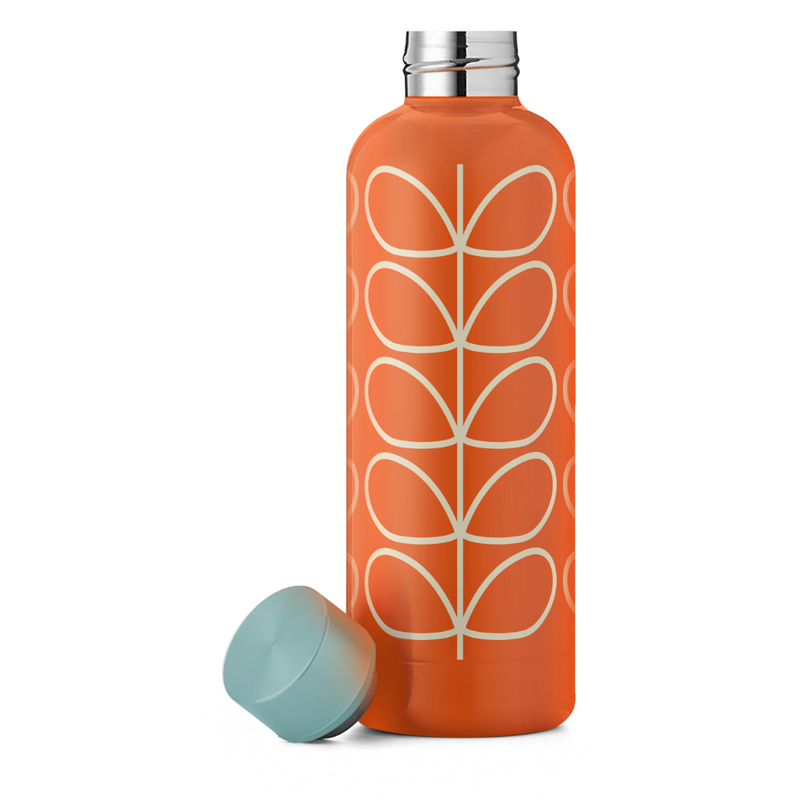 Stainless Steel Water Bottle, Linear Stem