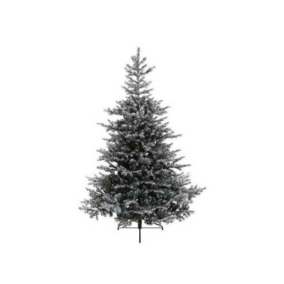 Snowy Greenore Fir Christmas Tree