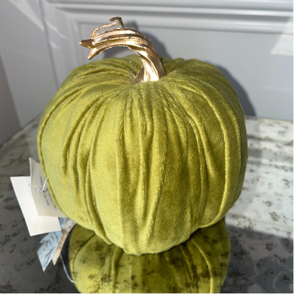 Velvet Green Pumpkin