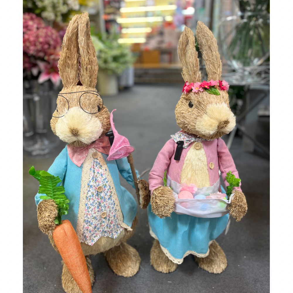 Mr & Mrs Peter Rabbit Large