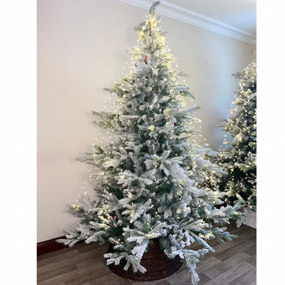 Snowy Greenore Fir Christmas Tree